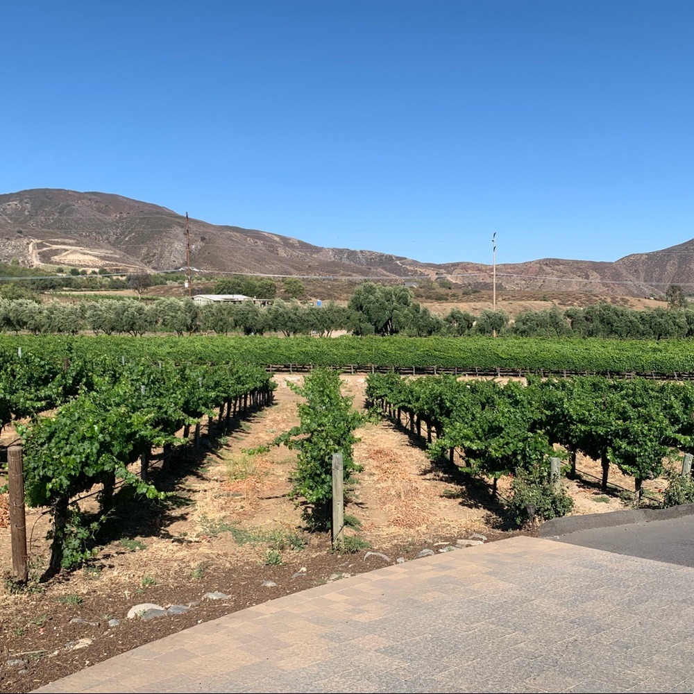 Temecula-what a great day we had